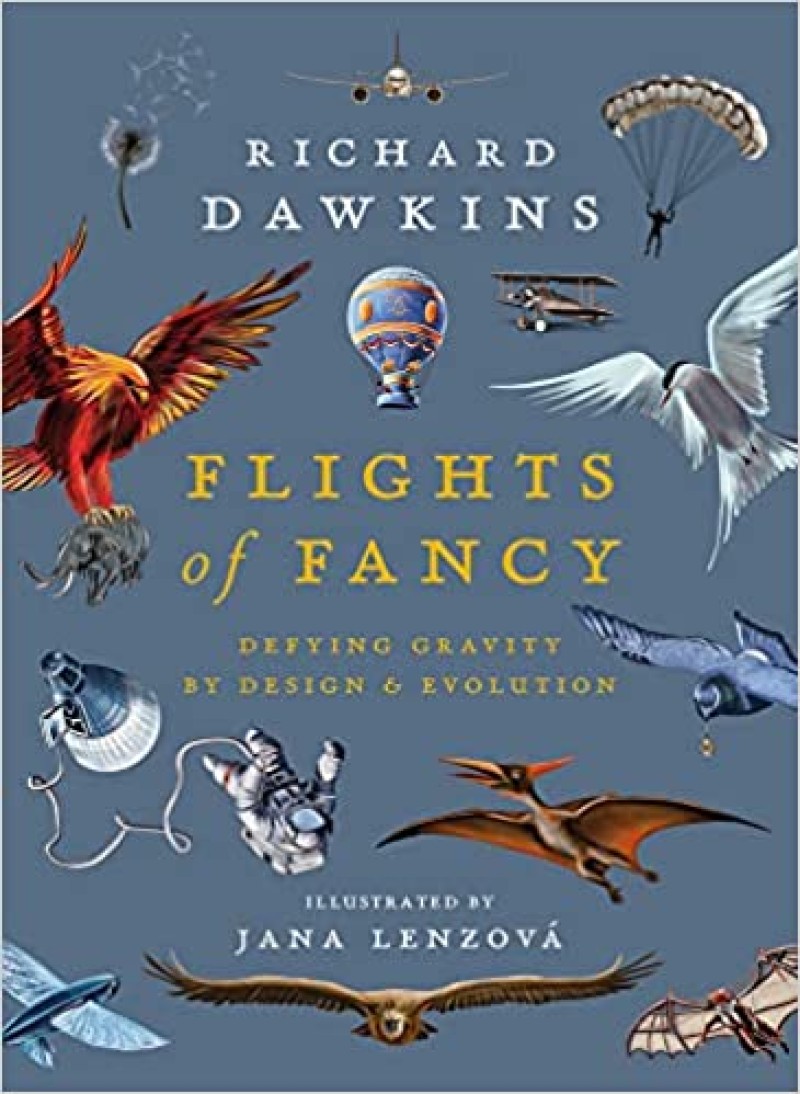 January Literature Review