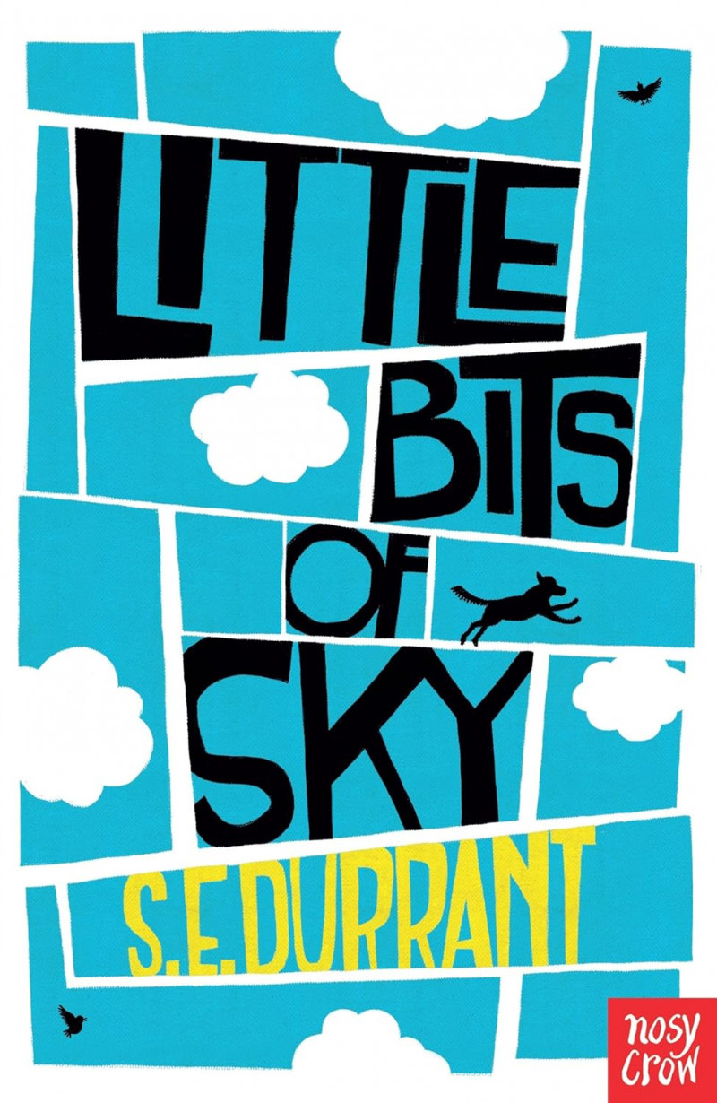 littlebitsofskys