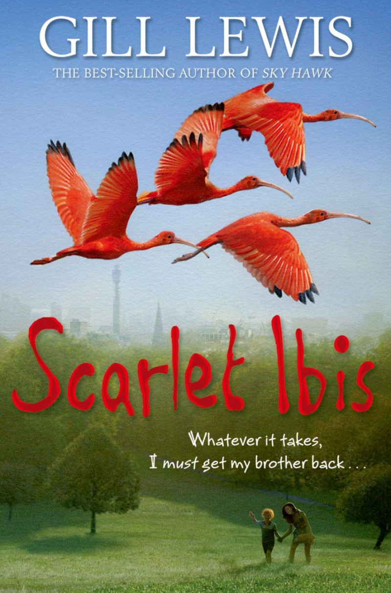 scarletibis