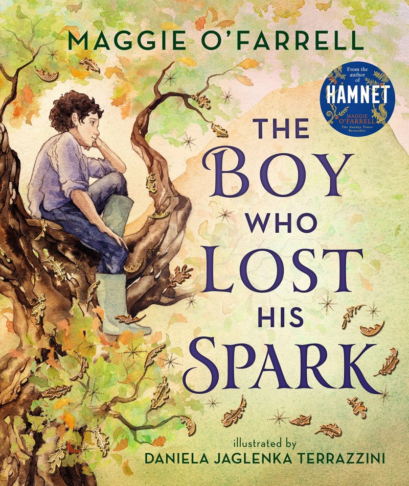 theboywholosthisspark
