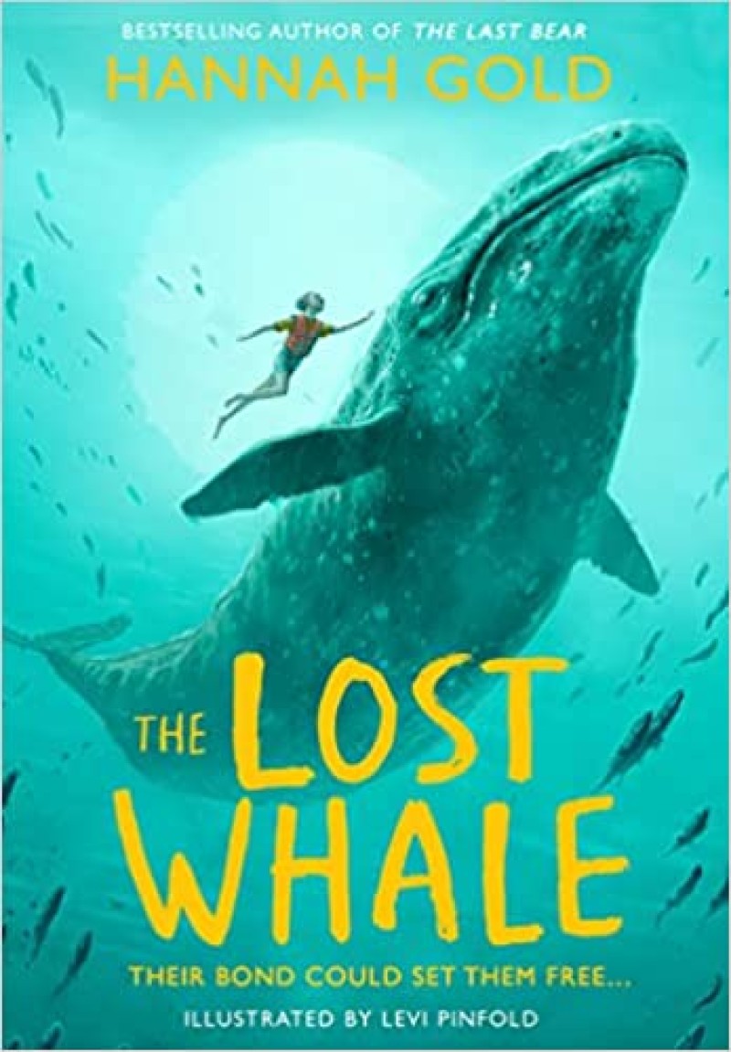 thelostwhalebyhannahgold1