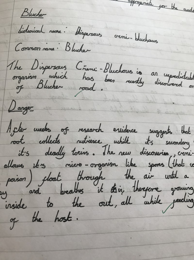 wikipediaentrycamelotschoollondon_0