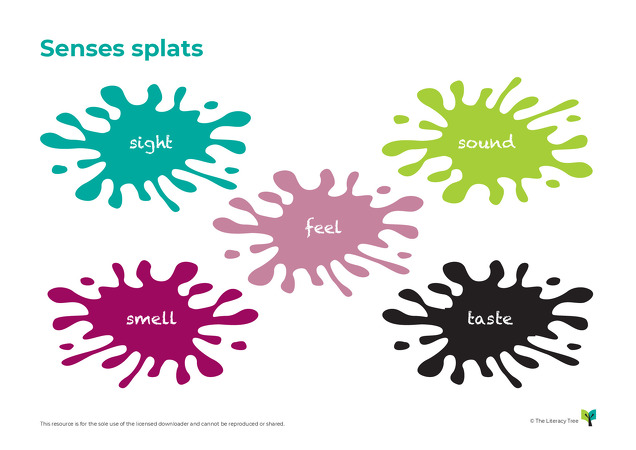 Senses Splat