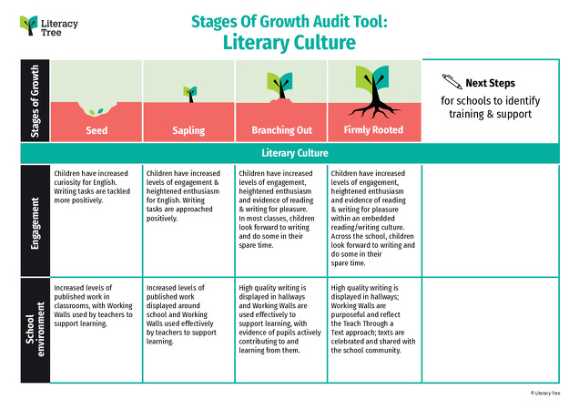 Stages of Growth Audit Tool