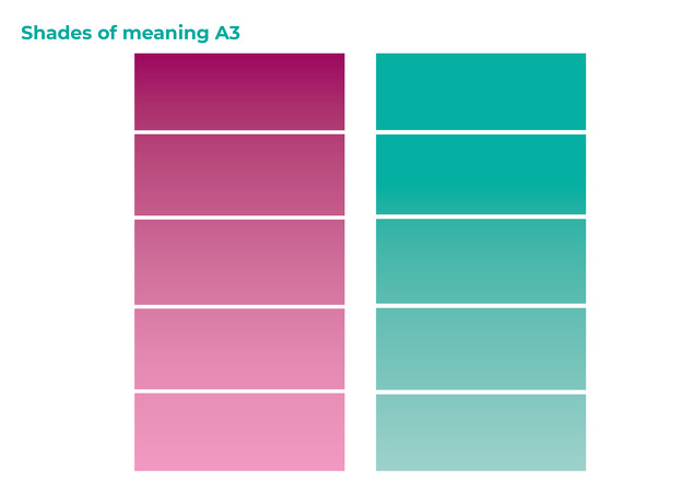 Shades of meaning A3